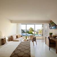 Premium Swim Up Double Room with Garden View