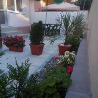 Studio with Garden View