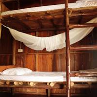 Bunk Bed in Female Dormitory Room  