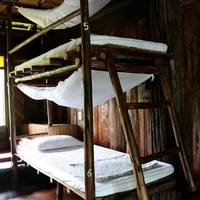 Bed in 8-Bed Mixed Dormitory Room