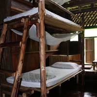 Bunk Bed in Mixed Dormitory Room