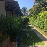 Double Room with Forest View