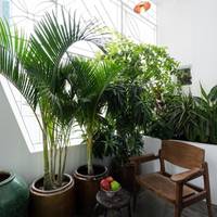 Serene Corner Twin room (without view)