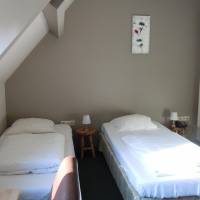Basic Twin Room