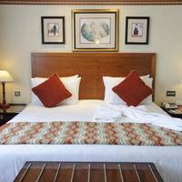 Room #22058900