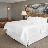 Premium, Guest room, 1 King, City view, Main Building