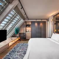 Loft Room Danube View, Guest room, 1 King, Danube River view