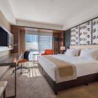 Premium King Room with Mountain View