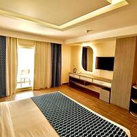 Deluxe Mountain View Room