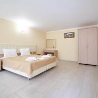 Large Double or Twin Room