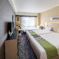 Room #34415146