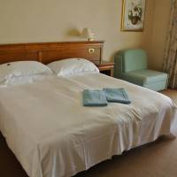 Superior Double or Twin Room with Lake View