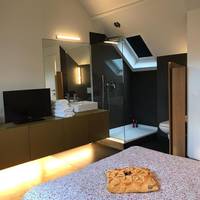 Standard Double Room with Shower