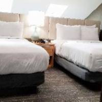 Room #35253715