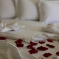 Special Offer - Superior Suite