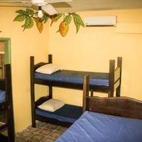 Bed in 6-Bed Mixed Dormitory Room