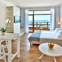 Studio with Balcony (2 Adults + 1 Child)