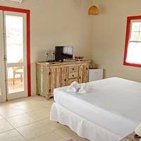 Double or Twin Room with Terrace