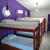 Bed in 8-Bed Mixed Dormitory Room