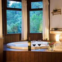 Luxury Chalet