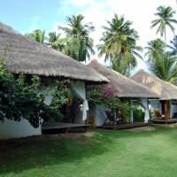 Standard Bungalow