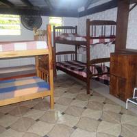 Single Bed in Mixed Dormitory Room