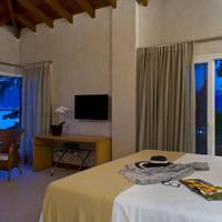 Double Room with Panoramic Sea View
