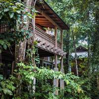 Staycation Package: Rainforest Villa King or Twin [Malaysia Residents]