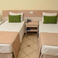 Standard Triple Room (3 single beds)