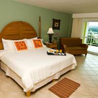 Deluxe Double Room with Garden View