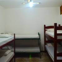Bed in 6-Bed Mixed Dormitory Room