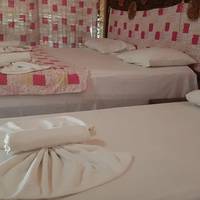 Basic Triple Room