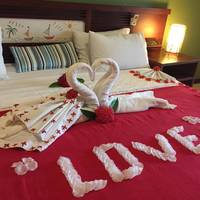 Premium Suite with Spa Bath