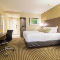 Corporate Floor - Business King Room