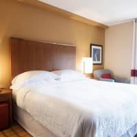 Guest Room, 1 King