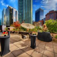 Patio Accessible King
