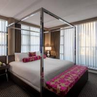 Opus Signature Suite