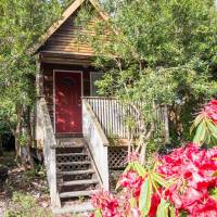 Studio Cottage A