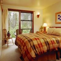 Queen Room Forest View with Balcony (Adults Only)
