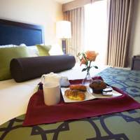 One-Bedroom Queen Suite