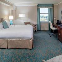 Junior Suite, 1 King Bed