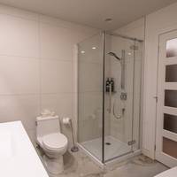 Executive Suite One King Bed and Murphy Bed