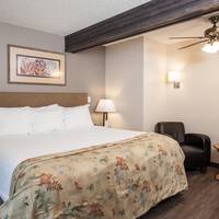 King Room Non-Pet Friendly
