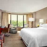 Deluxe Room One King Bed