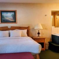 1 King Bed, Studio Suite, Courtyard View, Non-Smoking