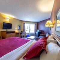 Queen Room with Sofa Bed - Non-Smoking