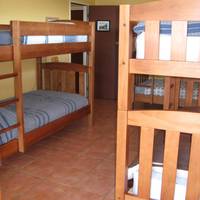 Single Bed in 8-Bed Dormitory Room