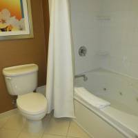Executive One-Bedroom Suite with Hot Tub