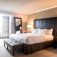Deluxe One-Bedroom King Suite with Sofa Bed
