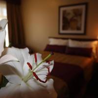 Standard Double Room with Two Double Beds